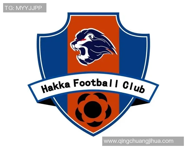 足球星卡中的外文难懂困扰玩家 如何轻松破解语言障碍